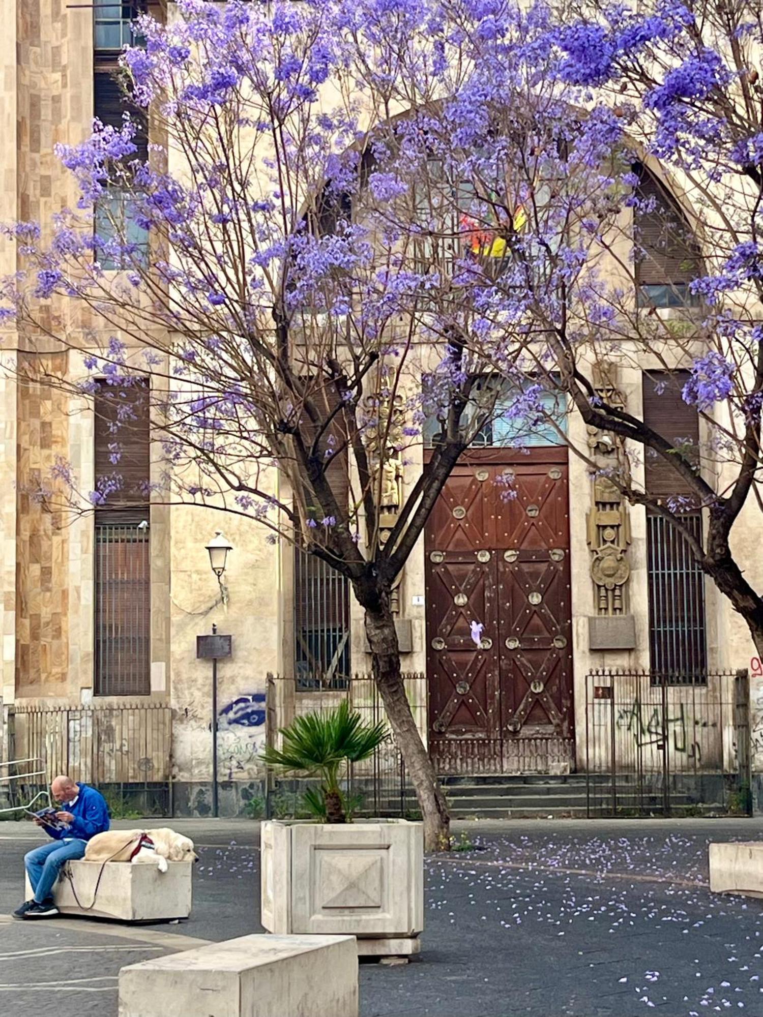 Happy Home Catania Exteriör bild